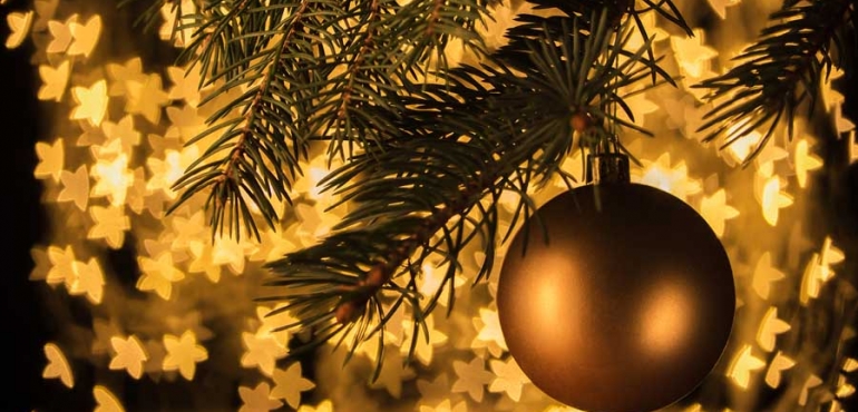 ORARIO periodo Natalizio 2020 e DEGUSTAZIONE PANETTONI E PANDORI